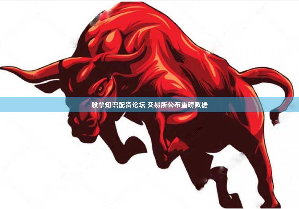 股票知识配资论坛 交易所公布重磅数据