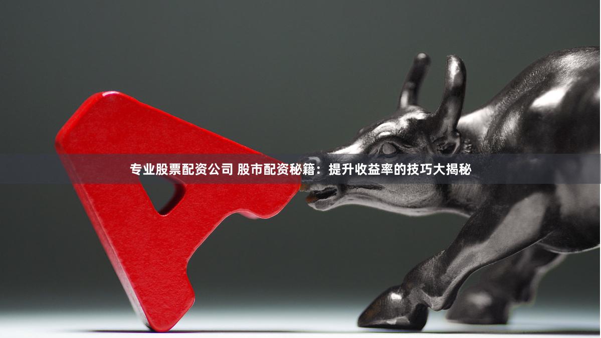 专业股票配资公司 股市配资秘籍：提升收益率的技巧大揭秘