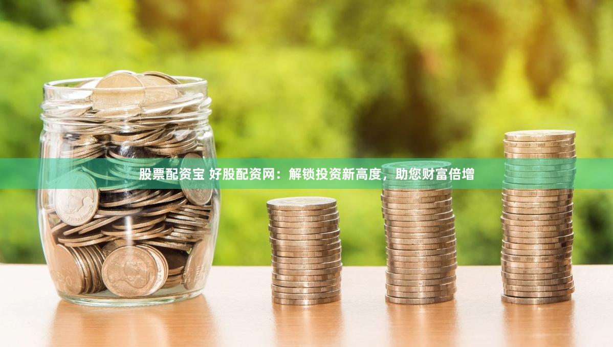 股票配资宝 好股配资网：解锁投资新高度，助您财富倍增