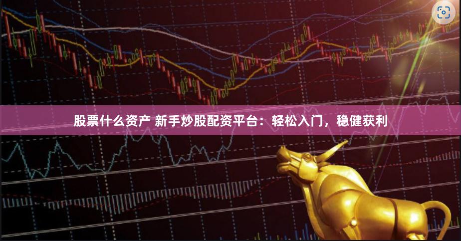 股票什么资产 新手炒股配资平台：轻松入门，稳健获利