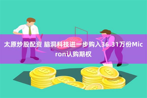 太原炒股配资 脑洞科技进一步购入36.31万份Micron认购期权